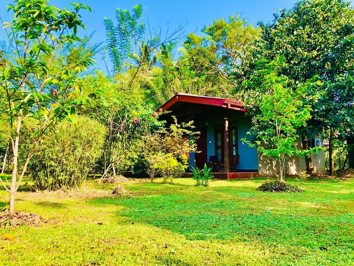 ** Guest house Sungreen Cottage Sigiriya Sri Lanka